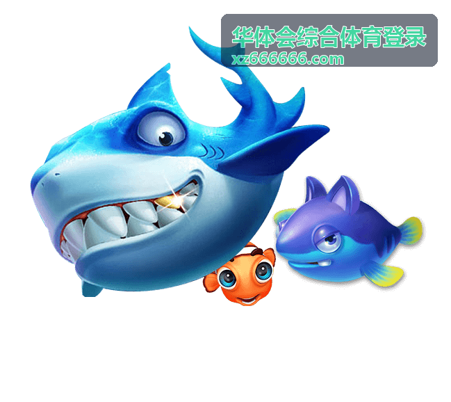 华体会综合体育登录移动端网络切换与刷新重试示意
