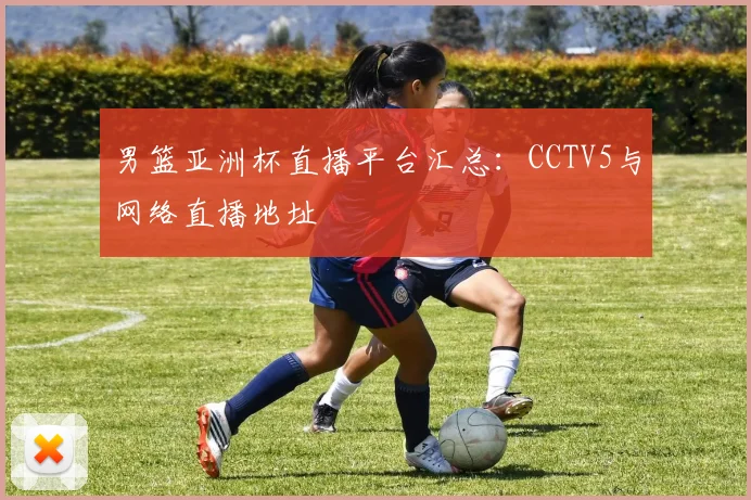 男篮亚洲杯直播平台汇总:CCTV5与网络直播地址