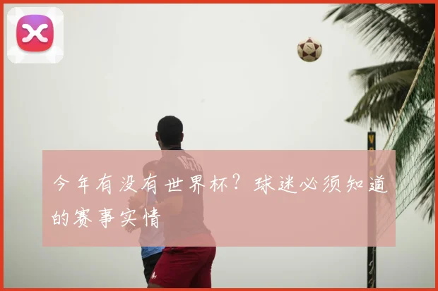 今年有没有世界杯?球迷必须知道的赛事实情