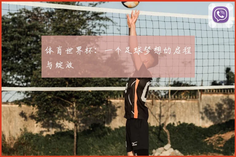 体育世界杯:一个足球梦想的启程与绽放