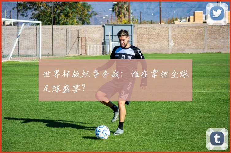 世界杯版权争夺战:谁在掌控全球足球盛宴?
