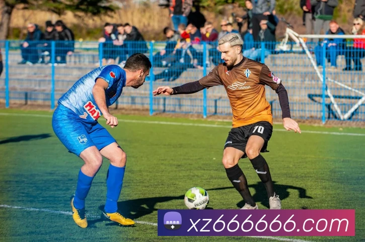 世界杯观看入口发展历程